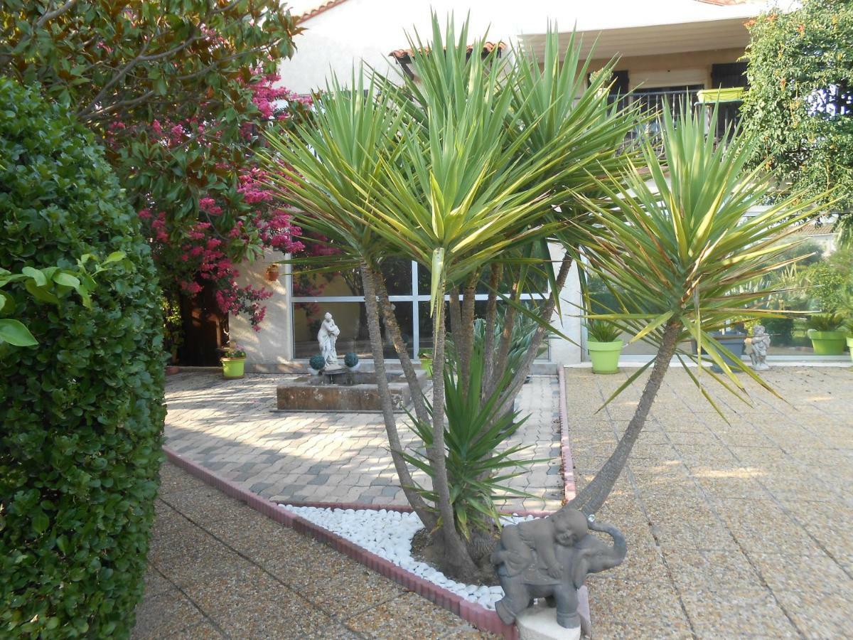 Maison Monica Exeptionnel-Jardin paysage ZEN Coursan Extérieur photo